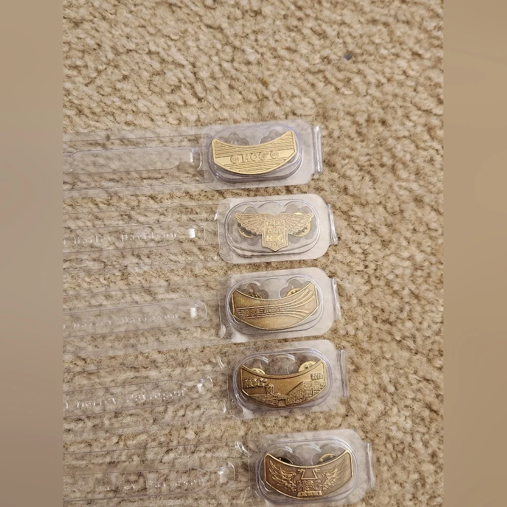 Harley Davidson Owners Group H.O.G. Pins Lot Of 10 - Picture 4 of 5